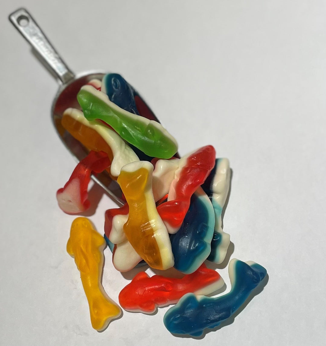 Gummy Sharks