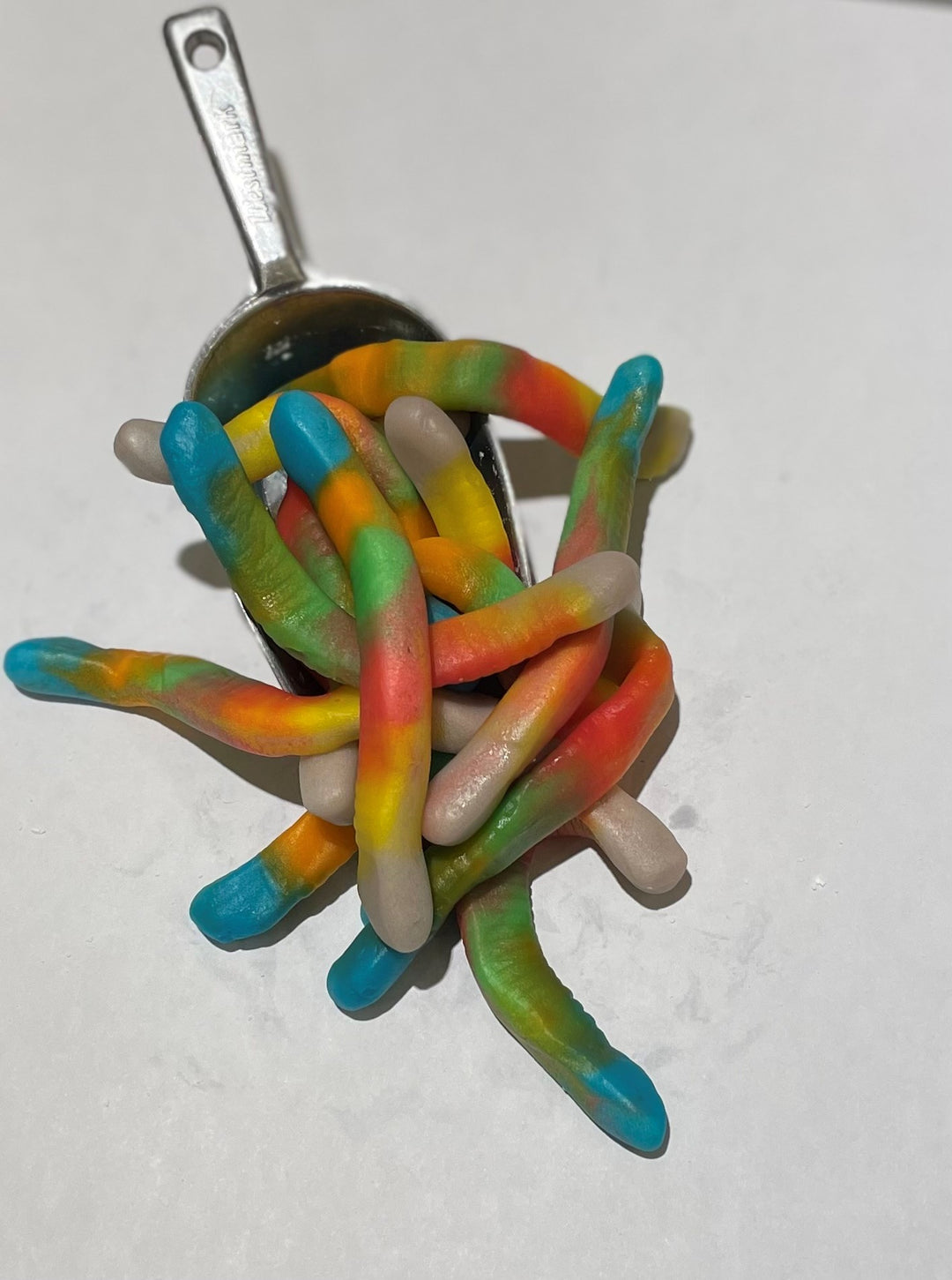 Multi Coloured Worms