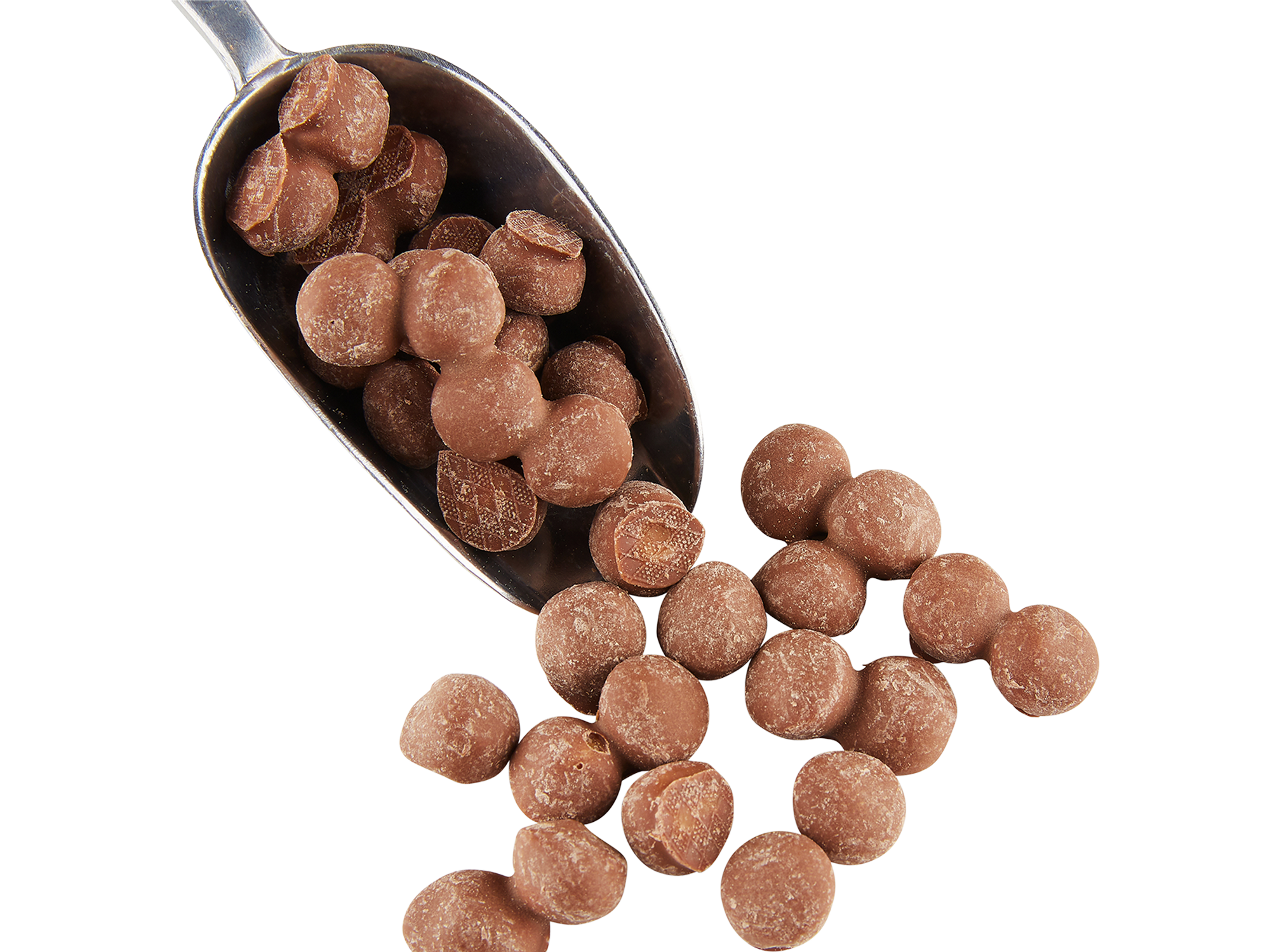 Chewing Nuts