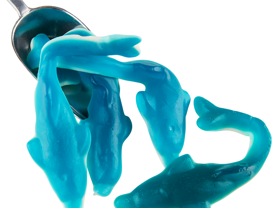 Giant Dophins